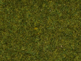 NOCH 08361 - Fibra per manto erboso prato da 20g altezza 4 mm