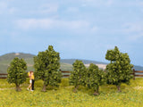 NOCH 25410 - Set alberi classici verdi 5 pz altezze 3 - 4 cm