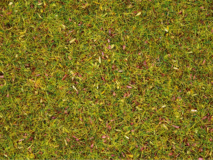 NOCH 08330 - Fibra per vegetazione prato fiorito 20g altezza 2,5 mm