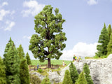 NOCH 21802 - Albero di Castagno altezza 18,5 cm