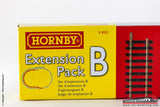 HORNBY LIMA R8222 - H0 1:87 - Set binari di espansione modulo B