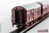 RIVAROSSI HR6311 - H0 1:87 - Set 2 carri chiusi FS modello Hcs-uvwy con mantici Ep. III